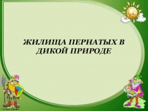 Презентация внеклассного мероприятия по биологии Жилища пернатых в дикой природе