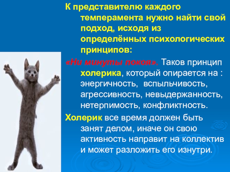 история профессии кассир кратко. актуальность темы темперамент. работа кассира презентация. таковы принципы. область исследования пример.