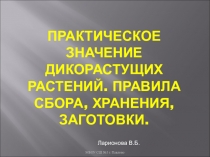 Презентация по биологическому краеведению на тему Практическое значение дикорастущих растений. Правила сбора, хранения, заготовки.