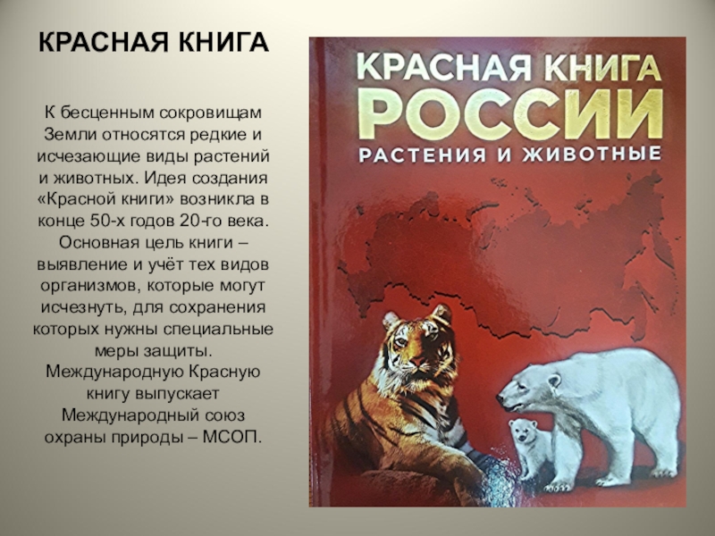 Презентация по окружающему миру 4 класс красная книга россии