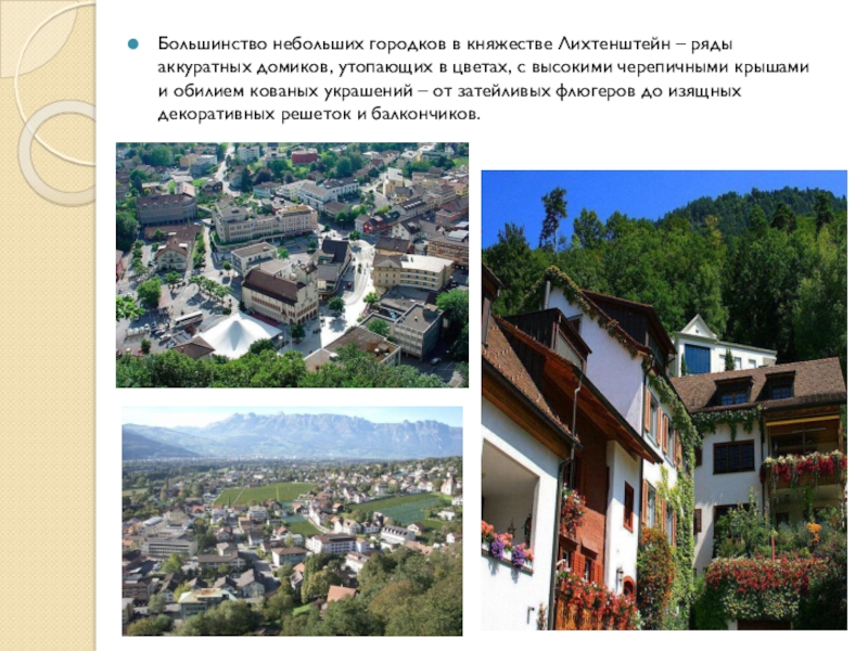 Реферат: Географическое и социальное положение княжества Лихтенштейн