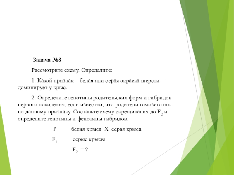 Рассмотрите схему определите какой признак белая или серая окраска шерсти доминирует у крыс