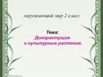 Презентация по окружающему миру 2 класс