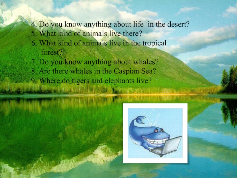 4. Do you know anything about life in the desert?5. What kind of animals live there?6. What