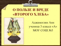 Презентация О пользе и вреде Второго хлеба