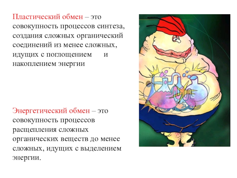 Пластически 1 обмен. Обмен веществ пластический обмен Биосинтез белков. Чтоттакле пластический обмен. Пластический обмен это в биологии. Пластический обмен это совокупность процессов синтеза.