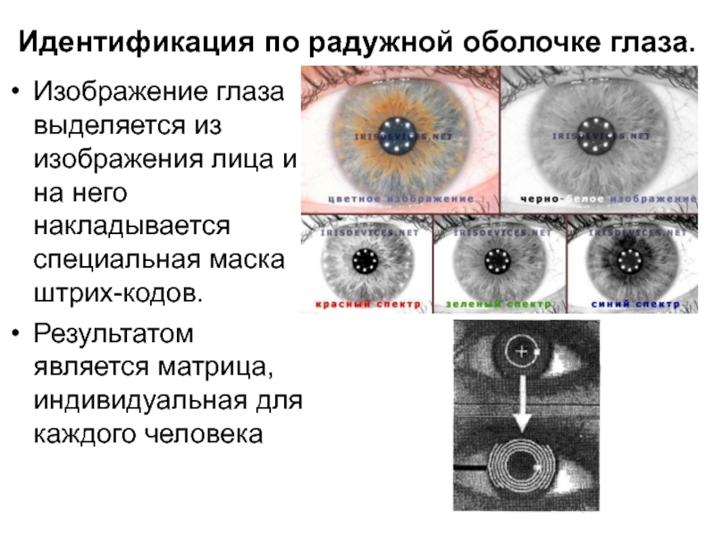 Идентификация по радужной оболочке глаза.Изображение глаза выделяется из изображения лица и на него накладывается специальная маска штрих-кодов.