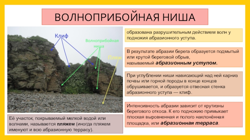 Деятельность волн. Волноприбойная ниша. Образование волноприбойной ниши. Абразионный уступ террасы. Волноприбойная терраса.