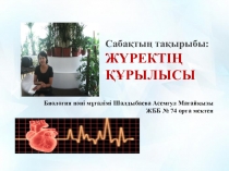 8 сынып Жүректің құрылысы