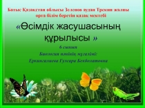 Өсімдік жасушасының құрылысы  (6 класс)