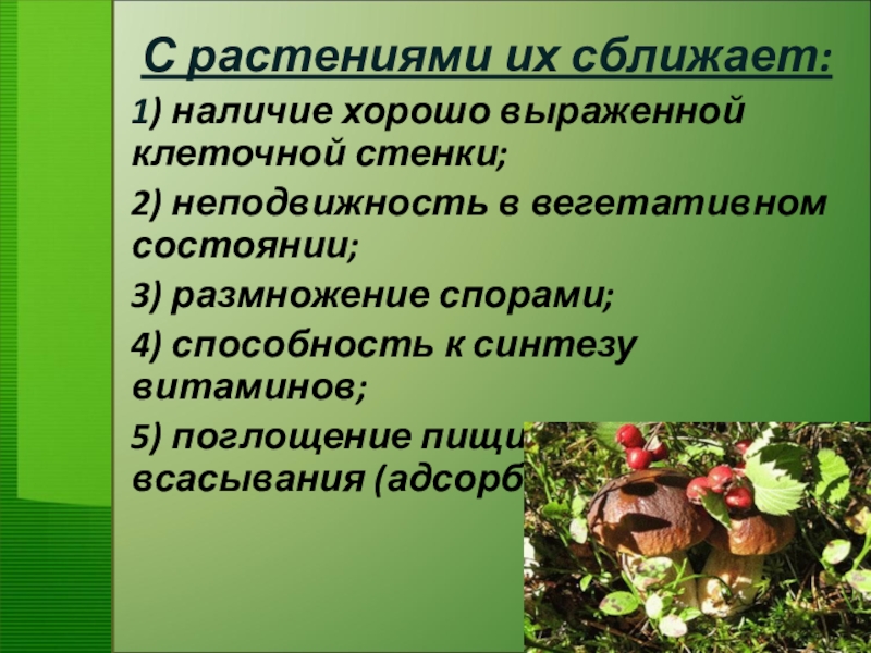 Биология 7 класс презентация на тему грибы