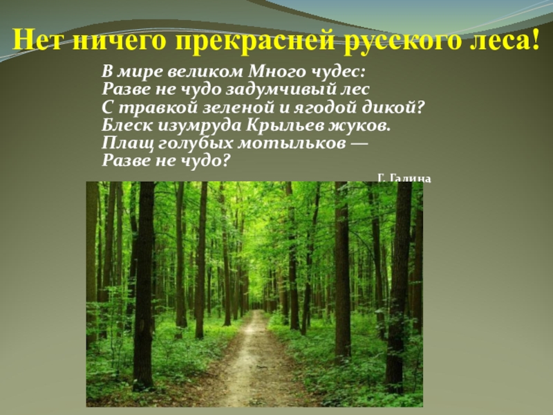 Виртуальная экскурсия для дошкольников презентация в лес