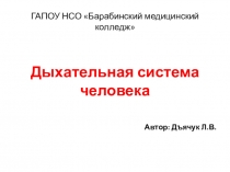 Презентация по биологии на тему Дыхательная система человека