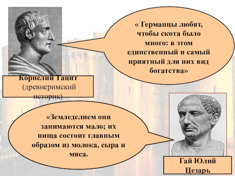 Что считалось для германцев большим богатством