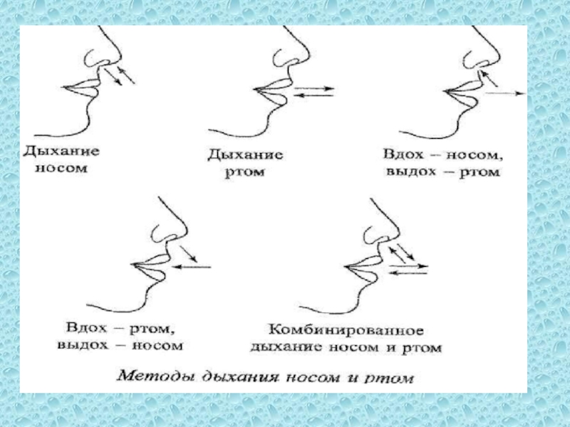 Дыхание звука. Дыхание носом. Дифференциация ротового и носового дыхания. Вдох носом выдох ртом.