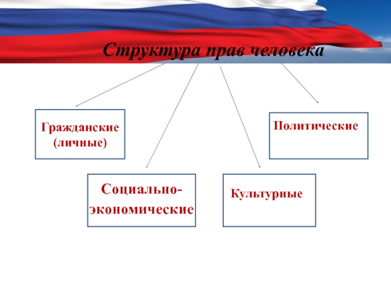 Права человека понятие сущность структура презентация