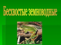 Презентация по окружающему миру для детей старшего дошкольного возраста.