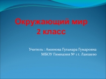 Презентация по окружающему миру