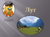 Луг