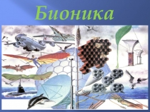 Презентация к уроку Современное естествознание на службе человека: Бионика (СПО)
