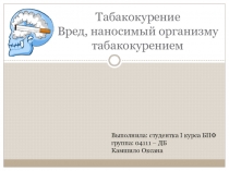 Классный час Твой выбор-твоя свобода