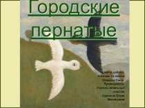 Презентация по окружающему миру на тему Городские птицы