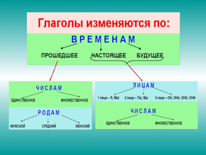 Карточка лицо глаголов 4 класс русский язык. Глаголы изменяются по. Изменить глаголы по временам. Глаголы изменяются по временам и числам. Глаголы изменяются по родам и числам.