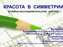 Презентация по математике на тему Архитектурный план (9 класс)