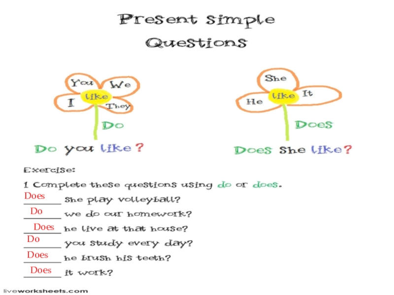 1 вставьте глагол do does. Present simple do does. Схема do does. Do present simple. Do или does present simple.