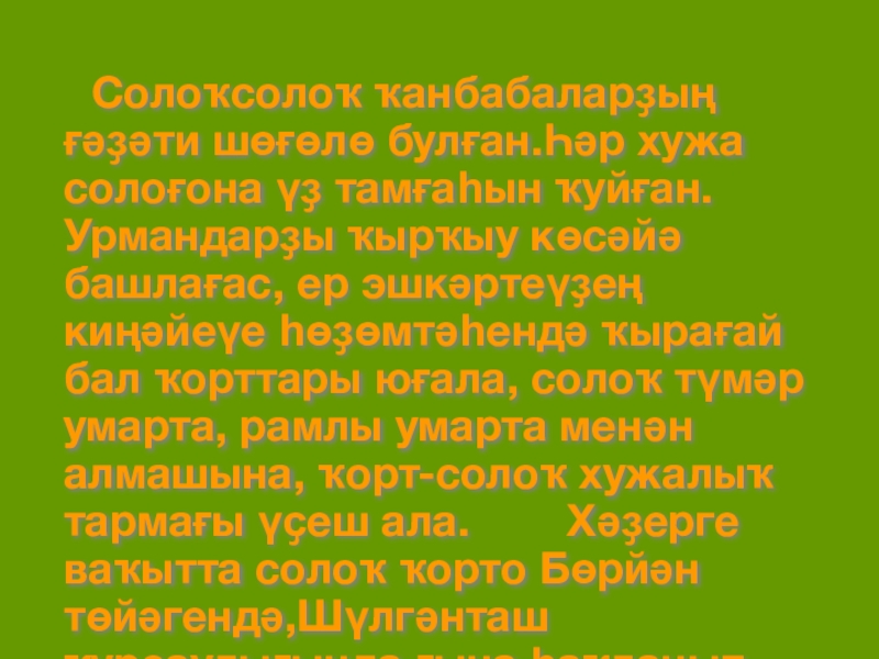 Солоҡсолоҡ ҡанбабаларҙың ғәҙәти шөғөлө булған.Һәр хужа солоғона үҙ тамғаһын ҡуйған.Урмандарҙы ҡырҡыу көсәйә башлағас, ер