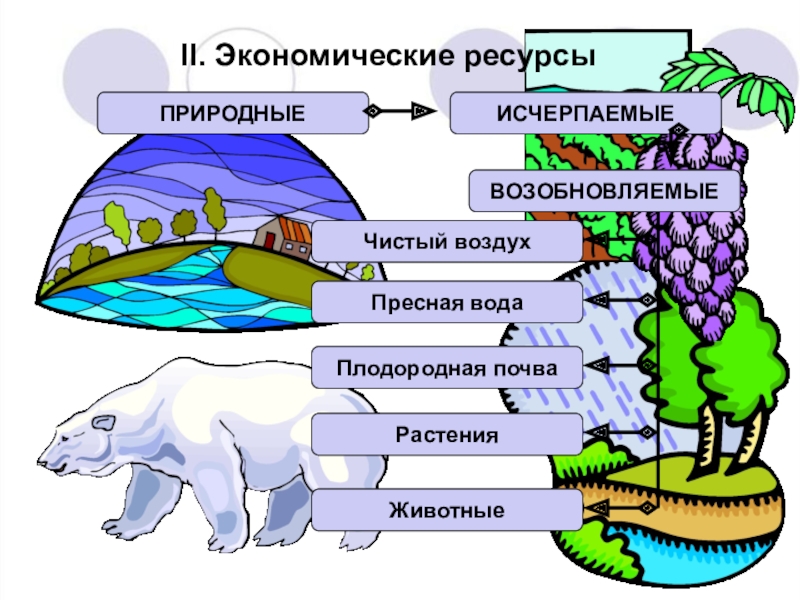 Проект по обществознанию 7 класс воздействие человека на природу