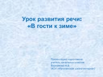 Презентация по развитию речи на тему: В гости к зиме