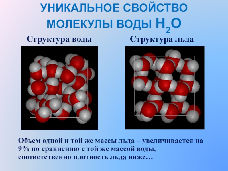 Свойства молекулы кратко