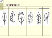 Презентация по математике на тему Сравнение дробей