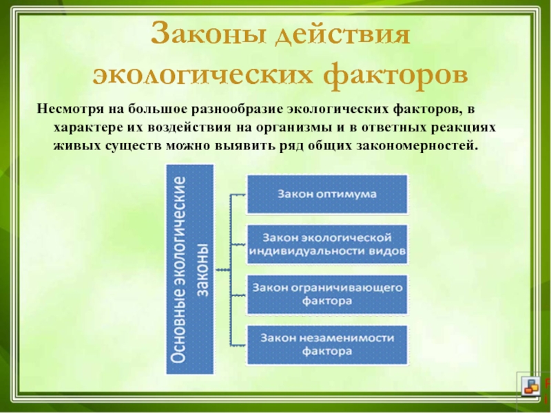 Основные закономерности устойчивости живой природы презентация