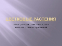 Презентация по теме: Цветковые для СПО