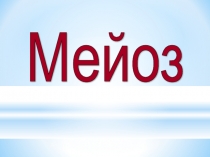 Презентация 10 класс по теме Мейоз