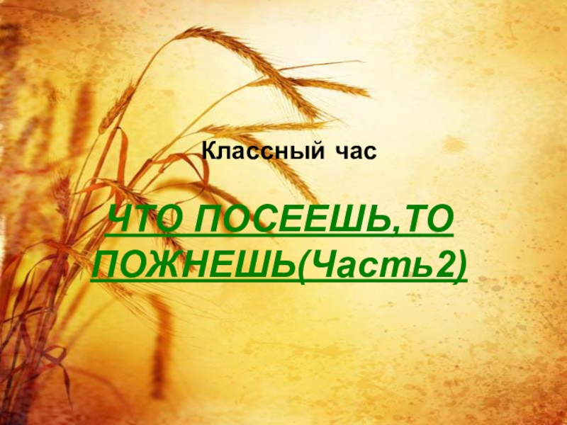 Что посеешь то и пожнешь презентация 2 класс