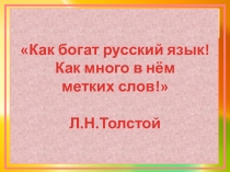 Презентация по русскому языку на тему Загадки русской фразеологии (3 класс)