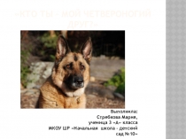 Кто ты, мой четвероногий друг?