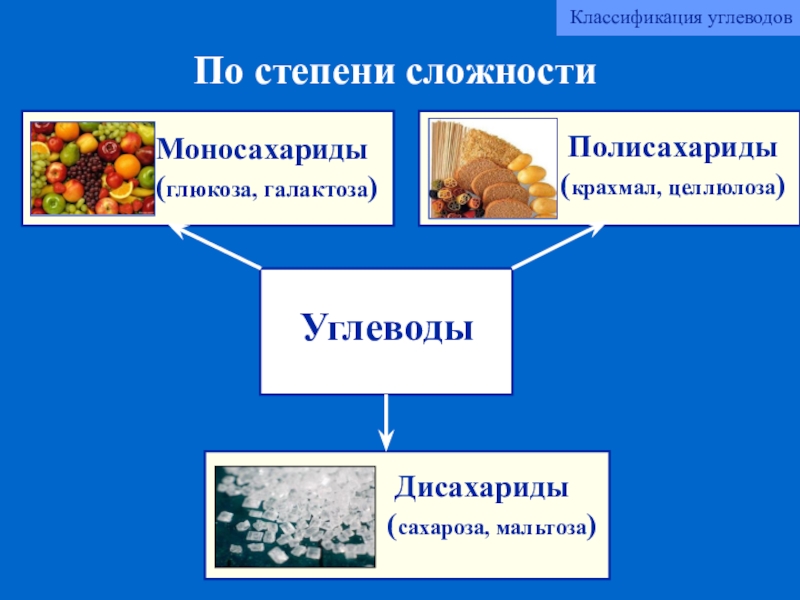 Углеводы презентация 9 класс по биологии