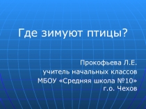 Презентация к уроку окружающего мира Где зимуют птицы 1 класс