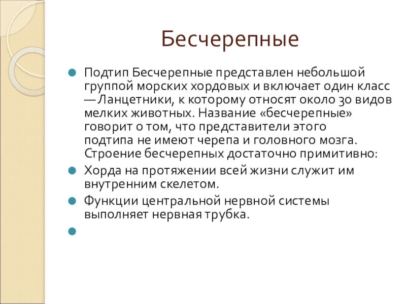 БесчерепныеПодтип Бесчерепные представлен небольшой группой морских хордовых и включает один класс — Ланцетники, к которому относят около 30