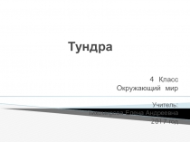 Презентация по окружающему миру на тему Тундра (4 класс)