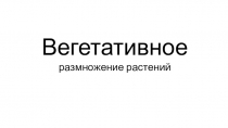 Вегетативное размножение покрытосеменных растений