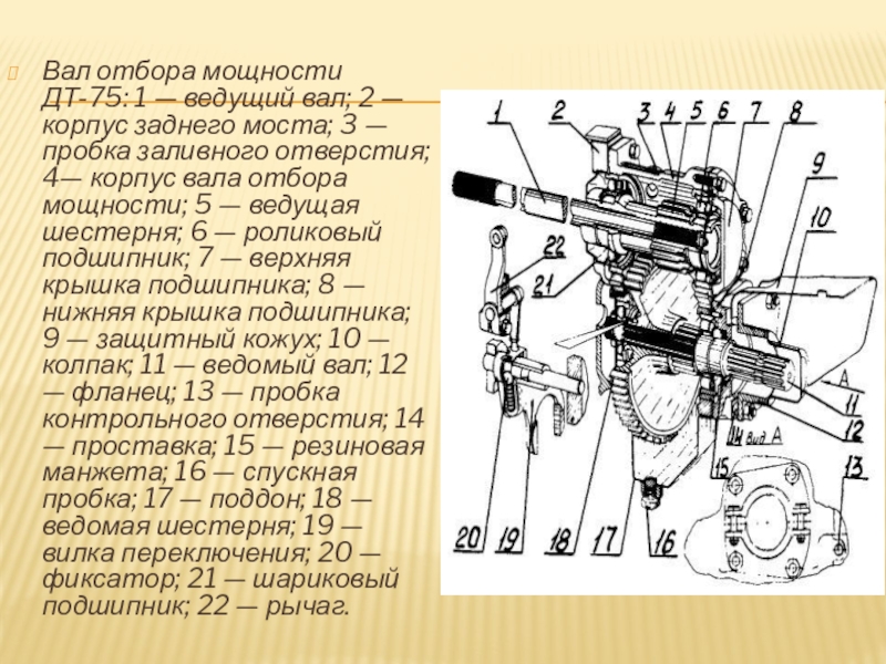 Вом дт 75. Редуктор ВОМ ДТ-75. Привод ВОМ ДТ-75. Вал отбора мощности ДТ-75. Вал отбора мощности ДТ 75 устройство принцип.