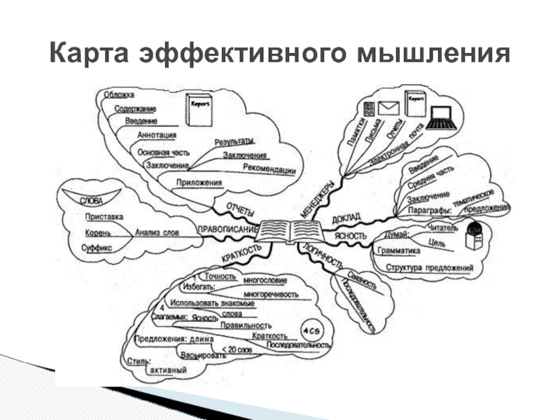 Структурно логическая схема мышления