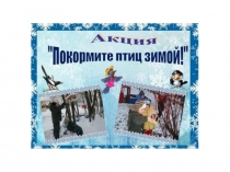 Презентация для детей среднего дошкольного возраста--Птицы-наши друзья