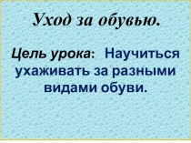 Презентация к уроку по СБО Уход за обувью ч.2