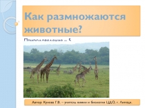 Презентация по природоведению на тему Как размножаются животные? (5 класс)